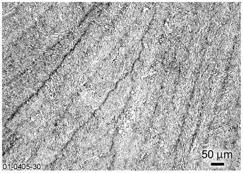 Figure 13. Dendritic solidification substructure observed in P(T)91 after tint etchingCitation67