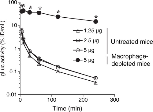 Fig. 4.  Clearance of gLuc-LA labelled B16BL6 exosomes from the blood circulation. gLuc activity in the serum of untreated mice (open symbols) and macrophage-depleted mice (closed symbol) was sequentially measured after intravenous injection of gLuc-LA-labelled exosomes derived from B16BL6 cells at the doses of 1.25 (triangle), 2.5 (square) or 5 µg (circle). Results are expressed as the mean of the percentage of injected dose/mL (% ID/mL) + SD of 4 mice. *p < 0.05 versus untreated mice at the same dose.