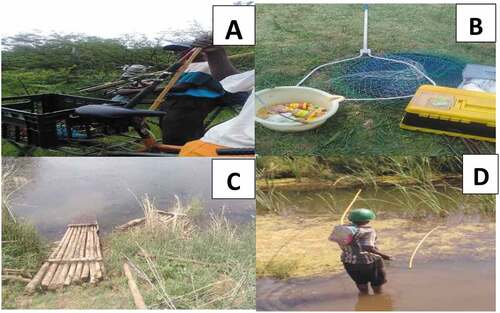 Figure 1. Home-made and modern fishing inputs used by fishers.