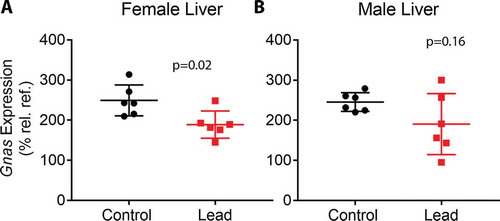 Figure 5. qRT-PCR data depicting Gnas expression in livers from female (a) and male (b) mice. Gnas expression was determined relative to the geometric mean of the Ct values for housekeeping genes Actb, Hmbs, and Psmc4. Since some of the male and female mice were littermates, data were analysed using linear mixed effects regression with litter-specific random effects to account for within-litter correlation