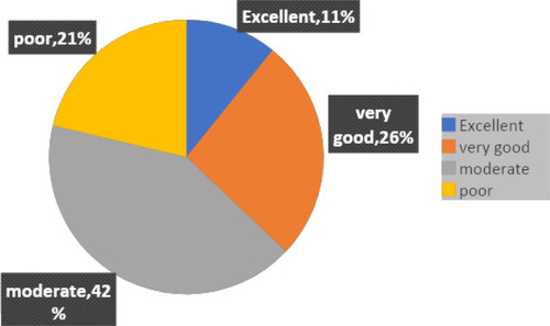 Figure 3 Pie chart showing media commitment to COVID-19 vaccine messages.