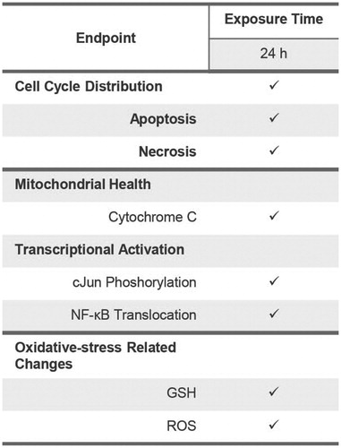 Figure 6. Endpoints measured within the second-layer assessment of cell viability. Abbreviations: GSH: glutathione; ROS: reactive oxygen species.