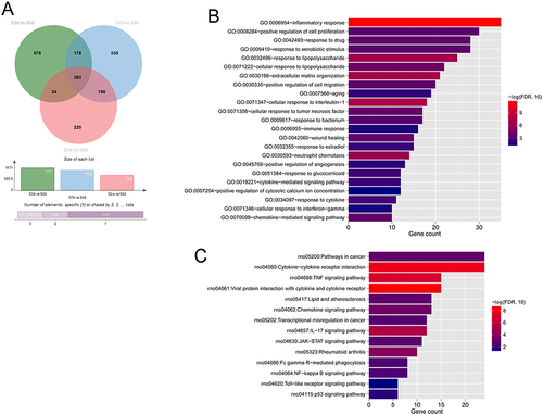 Figure 2 Functional enrichment analyses of the 383 overlapping DEGs among the three comparison groups. (A) Venn diagram for comparison of three comparison groups of DEGs sets. (B and C) Gene Ontology biological process (B) and Kyoto Encyclopedia of Genes and Genomes signaling pathway (C) enrichment analyses of the 383 overlapping DEGs in three groups. The horizontal axis represents the number of DEGs involved in the term, the vertical axis represents the term name, and the color represents the significant correlation (the closer to the red, the more significant).