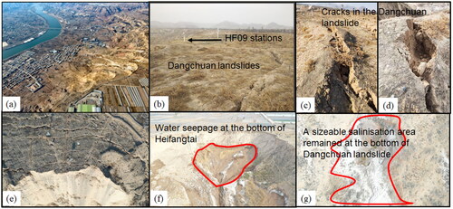 Figure 7. Field survey photos of heifangtai. (a) Photograph of dangchuan landslides. (b) The dangchuan landslide and HF09 monitoring station. (c-e) Cracks in the dangchuan landslide. (f) Water seepage at the bottom of heifangtai. (g) a sizeable salinization area remained at the bottom of heifangtai after the evaporation of seepage water.