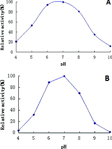 Figure 4. Effects of pH on β-galactosidase activity (A) and stability (B).