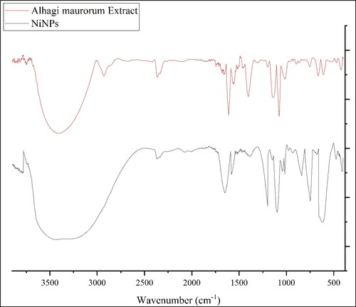 Figure 4. FT-IR spectrum of NiNPs.