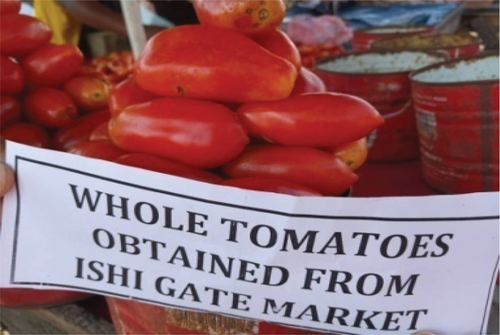 Plate 3: Isigate fresh tomatoes.