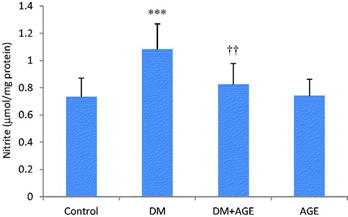 Figure 2. Nitrite levels in the kidney tissues of control rats, diabetic rats (DM), diabetic rats that treated with garlic extract (DM + AGE) and normal rats that received garlic extract (AGE). Results are mean ± SD (n = 6). ***p < 0.001 compare with control; ††p < 0.01 compare with DM.