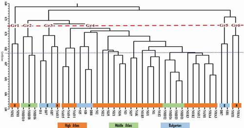 Figure 2. Dendrogram screening genetic relationships between walnut genotypes based on ISSR markers