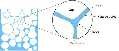 Figure 1. The general structure of foams. Gas bubbles are surrounded by liquid that carries surfactant molecules. These molecules adhere to the liquid-gas interphase, improving its stability.