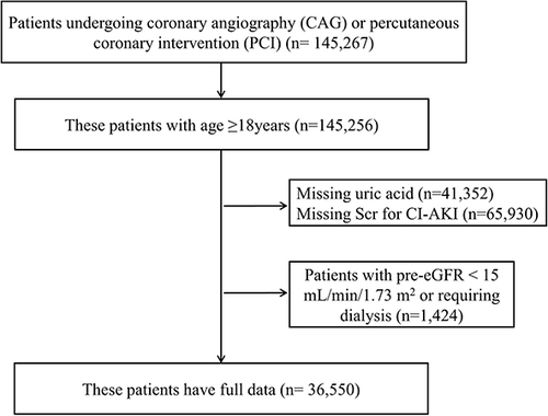 Figure 1 Patient flow diagram.