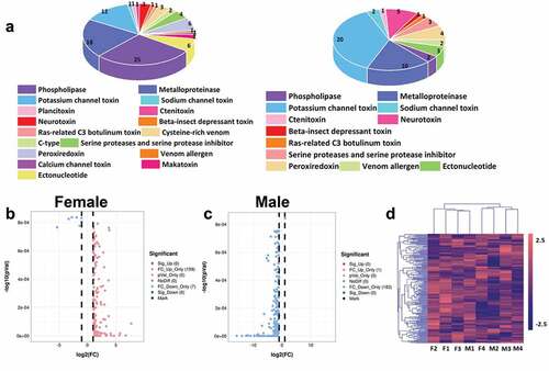 Figure 6. Toxins screening of scorpion. (a) The screened toxins in the transcriptome of collected male and female Mesobuthus martensii. Different colors represent different toxins, and different sizes represent the number of each toxin, (b) Volcanic map of the screened female scorpion toxin, (c) Volcanic map of the screened male scorpion toxin. The abscissas of B and C represent log2 (fold change) and the ordinate represents -log10 (P-value). Each dot represents a toxin unigenes, the red dot represents the up-regulated toxins while the blue dot represents the down-regulated toxins, and the grey dot represents the toxins without significant difference, (d) Cluster heat map of the annotated unigenes. F1, F2, F3 and F4 represent the four groups of female scorpions and M1, M2, M3 and M4 represent the four male groups of scorpions.