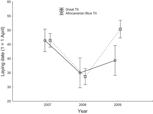 Figure 1. Comparison of the dates of the onset of egg laying (means ± 95% CI) between Great Tits and Afrocanarian Blue Tits in cedar stands of Belezma National Park during 2007–2009.
