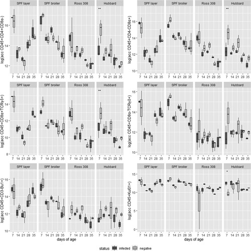 Figure 6. Absolute cell counts in logarithmic transformation of six immune cell populations in four different lines, infected and controls, at five sampling days (n = 3 birds per group per sampling day). Significant differences between infected and negative birds are marked with *P < 0.05 or **P < 0.01.