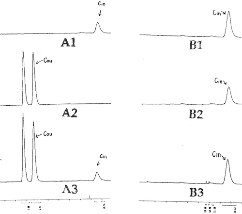 Figure 5. Analysis of PAL specificity in pET23bPAL/JM109DE3 by using HPLC. B1, B2 and B3 were from same clone pET23bPAL/JM109DE3. The only different between them was in culture medium: B1: NZCYM+0.1 mM Phe; B2: NZCYM+0.1 mM tyrosine; B3 NZCYM+0.1 mM Phe+0.1 mM tyrosine. Coumaric acid, the TAL deamination product from tyrosine, was not found in the three culture media above. Only Cinammic acid, the PAL product from Phe, was detected. The result shows: there is no TAL activity in the PAL product of pET23bPAL/JM109DE3, i.e. the specificity of the PAL is ideal.