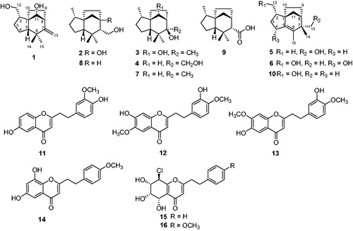 Figure 1. Structures of 1–16.