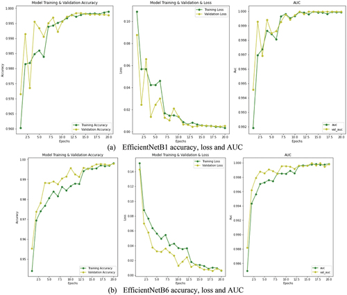 Figure 4. Performance progress during 20 epochs of a) EfficientNetB1 and b) EfficientNetB6 models.