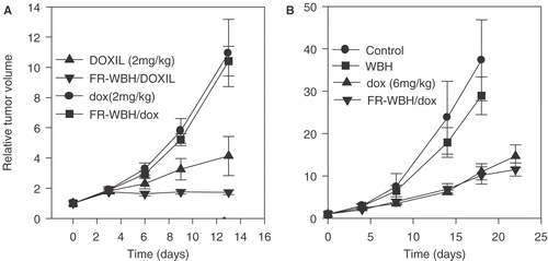 Figure 6. Therapeutic effects of liposomal doxorubicin (DOXIL) and free doxorubicin on CT26 tumor growth with and without pre-treatment with FR-WBH. Tumor growth profiles are plotted for animals that were treated with: (A) DOXIL and free doxorubicin (dox) at 2 mg/kg given weekly (injected within 10 minutes of either sham treated control animals or animals pre-treated with FR-WBH) or (B) a higher dose (6 mg/kg) of free doxorubicin with and without pre-treatment with either sham or FR-WBH. Control tumor growth and growth of tumors in mice given FR-WBH alone are also shown in (B). Tumors in animals that received the sequential treatment of FR-WBH and DOXIL and had the least growth over a period of 13 days and this difference is statistically different from DOXIL alone as indicated with an asterisk. Tumor growth in animals treated with free doxorubicin at 2 mg/kg or at its known effective dose (6 mg/kg) was not enhanced by pre-treatment by FR-WBH. Representative data from two separate experiments with 5 mice per group.