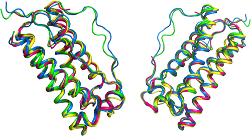 Figure 6 Comparison of tertiary structure of filgrastim.