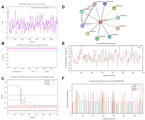 Figure 3 Prediction of the physical and chemical features of Echinococcus multilocularis derived complement inhibitor (Em-CI). (A) Hydrophobicity/hydrophilicity of Em-CI. Positive scores indicated hydrophobicity, and negative scores indicated hydrophilicity. A higher absolute value indicates a higher degree of hydrophobicity/hydrophilicity. (B) Em-CI transmembrane structure prediction. (C) Em-CI signal peptide prediction.fgh. (D) Protein-protein interaction network of Em-CI. (E) Antigenic epitope prediction of Em-CI. (F) Phosphorylation site predictions of Em-CI. 