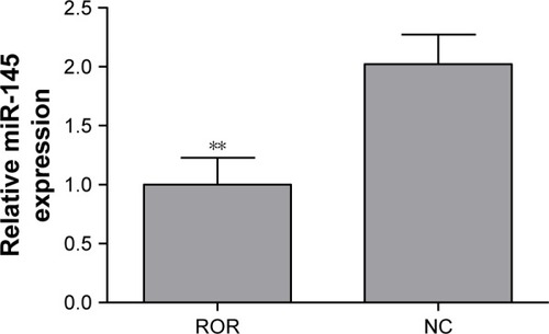 Figure 6 The overexpression of ROR downregulated miR-145 (**p<0.01).