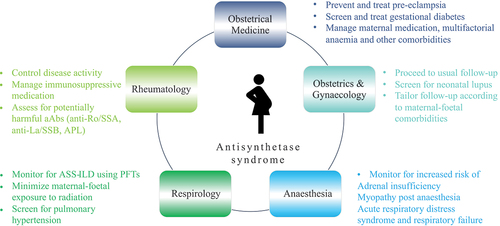 Figure 1. Key points to consider regarding the management of anti-synthetase syndrome (ASS) in pregnancy. (i) Corticosteroid dosing should be minimized to prevent the risk of infections and maternal–foetal complications, and pregnancy-compatible medication should be used. (ii) Anti-Ro/SSA auto-antibodies (aAbs) increase the risk of interstitial lung disease (ILD) in patients with ASS (Citation16, Citation17). (iii) Anti-Ro/SSA and anti-La/SSB increase the risk of neonatal lupus. Women who test positive for anti-Ro/SSA and/or anti-La/SSB should be screened for neonatal lupus and receive hydroxychloroquine during pregnancy (Citation18). (iv) Anti-phospholipid (APL) aAbs increase the risk of adverse pregnancy outcomes, and prophylactic treatment with low-dose aspirin and/or low molecular weight heparin is recommended (Citation18). (v) Screening for ILD and assessment of severity should be performed with pulmonary function tests (PFTs), as exposure to radiation should be minimized. (vi) Obstetric medicine follow-up is essential to prevent and treat diabetes, pre-eclampsia, and anaemia (Citation19). Obstetric expertise is needed for prevention and screening of prematurity, foetal growth restriction, and neonatal lupus secondary to anti-Ro/SSA aAbs. During childbirth, anaesthesiology should monitor for adrenal and respiratory insufficiency.