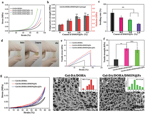 Figure 3. (a) Compressive stress–strain curves of Gel-DA/DOHA/DMON@Fe hydrogels with 0.5, 1.0, and 1.5 wt% DMON@Fe contents and (b) the corresponding results of mechanical strength and Young’s modulus. (c) Equilibrium swelling rate of the hydrogels at 24 h. (d) Images of the compressive behavior for Gel-DA/DOHA/DMON@Fe scaffold. (e) Tensile stress–strain curves of three groups of hydrogels and (f) their corresponding statistical results of tensile strength. (g) Twenty successive compressive loading-unloading cycles for two groups of hydrogels with a strain of 80%. SEM images and statistical pore size of (H) Gel-DA/DOHA and (I) Gel-DA/DOHA/DMON@Fe.