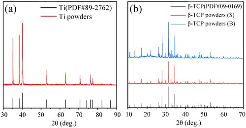 Figure 3. X-ray diffraction patterns of raw materials. (a) Ti powders, (b) β-TCP(S) powders and β-TCP(B) powders.