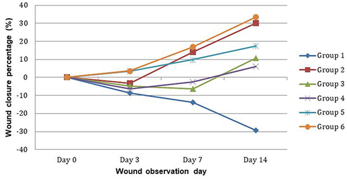 Figure 3 Evaluation of wound closure in the experimental groups. Group 1: Negative control; Group 2: 1% povidone-iodine solution; Group 3: 1% triamcinolone acetonide oral paste; Group 4: 2% potato peel extract gel; Group 5: 4% potato peel extract gel; Group 6: 6% potato peel extract gel.