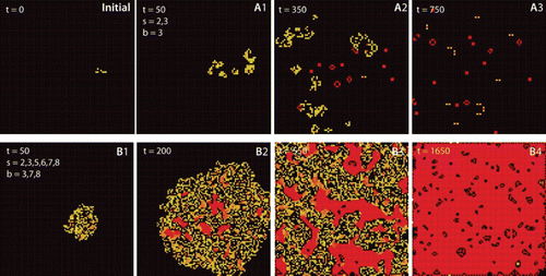 Figure 5. Cellular automata as an example for emergent behavior. The frames show the state of the system for two algorithms at different times and originate from the same initial state (initial). Squares (cells) are activated (born) when they have b neighbors and survive as long as they have s neighbors. Frames A1–A3 were obtained with Conway's Game of Life algorithm (s=2, 3; b=3), frames B1–B4 follow the Coagulation algorithm (s=2, 3, 5, 6, 7, 8; b=3, 7, 8). Images were generated with MJcell v1.5. Cells are color coded along their age with yellow for novel cells and red for old cells.