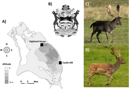 Figure 1. (a) Barbuda location map, (b) coat of arms, (c) black-coat D. d. dama, (d) common-coat D. d. dama. Source: (a) Dr. Rebecca Boger, EES, Brooklyn College CUNY, (b) https://en.wikipedia.org/wiki/Coat_of_arms_of_Antigua_and_Barbuda (c/d) Sandrine Grouard.