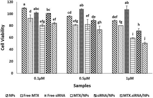 Figure 9. Cytotoxicity assay of free NPs, free MTX, free siRNA, MTX/NPs, siRNA/NPs and MTX/siRNA/NPs samples for different MTX concentrations (1–0.1 μM) using MCF7 cancer cells. Different letters indicate significant differences in mean values for each variable (p<.05).