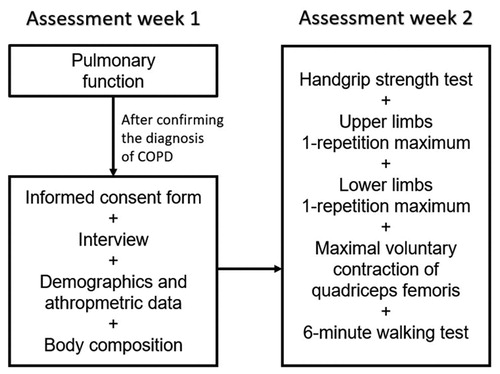 Figure 1. Scheme of data collection of the study protocol.