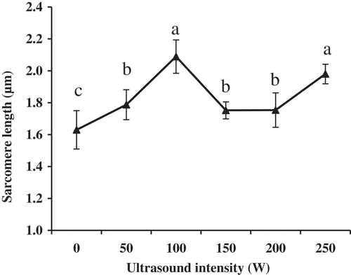 Figure 3. Changes of sarcomere length of the longissimus lumborum (LL) muscle fibers treated with the ultrasound bath. Values with different letters are significantly different among the intensities (P < 0.05).