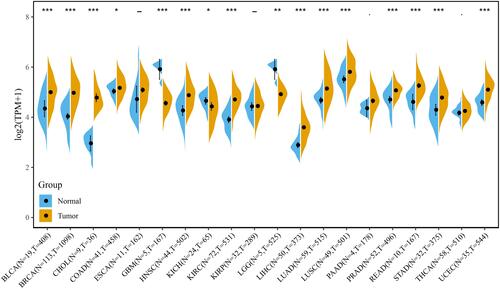 Figure 1 Expression of RAB40C in cancer tissues and adjacent normal tissues in the TCGA database. *p<0.05; **p<0.01; ***p<0.001.