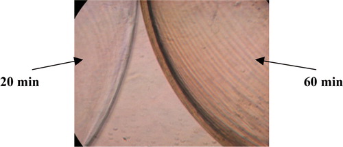 Figure 10.  Microscopic photograph of 2 mm beads placed in poly-L-lysine solution for 20 minutes and 60 minutes, respectively.