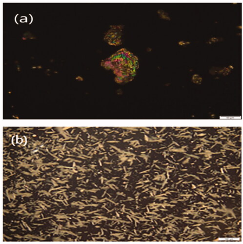 Figure 13. Polarized light microscopy (PLM) images of (a) plain MRT (b) optimized MRT- SBA-15.