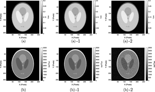 Figure 1. A validation test for reconstructing the coefficients ac and ap: The first and second rows are the reconstruction results of ac and ap for the Compton scatter and the photoelectric case, respectively. The first column refers the reference values of ac and ap. The second and third columns are the results reconstructed from sinogram without and with noise, respectively.