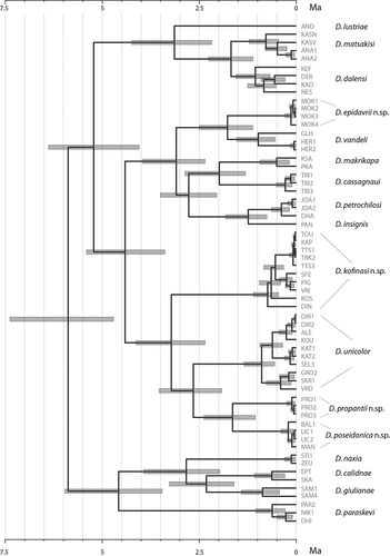 Figure 5. Divergence times among the analyzed Dolichopoda species inferred by Bayesian analysis using relaxed molecular clocks. Bars at the nodes represent the 95% highest posterior density (HPD) credibility interval