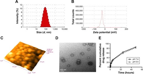 Figure 1 Characterization of NLA.Notes: (A) Size distribution and (B) zeta potential by dynamic light scattering technique, (C) morphology by atomic force microscopy at a scale bar of 1 µm and (D) transmission electron microscopy at a scale bar of 100 nm, and (E) cumulative drug release for 48 hours at pH 5.5 and pH 7.4. All experiments were done in triplicate.Abbreviation: NLA, nanoliposomal artemisinin.