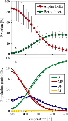 Figure 5.  Thermodynamic analysis of the trans-membrane WALP peptide simulation, the surface bound simulation shows identical behaviour. Panel A: Average peptide helicity and beta-sheet content as a function of replica temperature (excluding equilibration). Panel B: Four-state fitting of all sampled states (S = surface unfolded, SF = surface folded, M = membrane unfolded, MF = membrane folded). The M state is hardly populated, reducing the system to three main states: S, SF and MF. The dots represent the direct populations measured for each temperature replica, while the thick line is the prediction from the thermodynamic four state model fit (see Methods). (This Figure is reproduced in colour in Molecular Membrane Biology online).