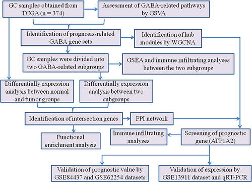 Figure 1 Flow chart of the present study.