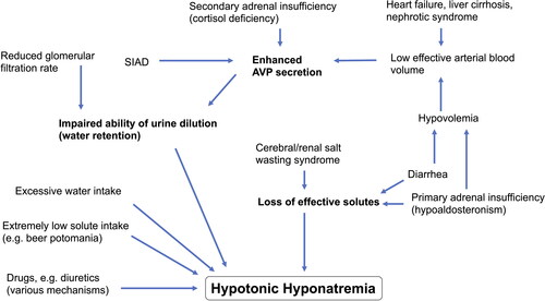 Figure 1. Pathophysiology of hyponatremia.Development of hyponatremia is mostly a phenomenon of dilution due to water retention and/or excess water intake, which is sometimes combined with loss of effective solutes. Mechanisms are simplified in order to create an overview. Abbreviations: SIAD = Syndrome of inappropriate antidiuresis; AVP = Arginine vasopressin.