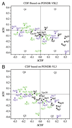 Figure 6. ∆CH-∆CDF analysis of Atg proteins from yeast. The ∆CH-∆CDF plots, where the ∆CDF parameter was calculated based on PONDR-VSL2 (A) and PONDR-VL3 (B), show the distribution of the Atg proteins from yeast in the Q1, Q2, Q3, and Q4 quadrants. For description of quadrants, see the legend for Figure 5. For better clarity, Atg1, Atg2, Atg3, Atg4, Atg5, Vps30/Atg6, Atg7, Atg8, Atg9, Atg10, and Atg11 are shown in black, Atg12, Atg13, Atg14, Atg15, Atg16, Atg17, Atg18, Atg19, Atg20, Atg21, and Atg22 are labeled in purple, and Atg23, Snx4/Atg24, Atg26, Atg27, Atg29, Atg31, Atg32, Atg33, Atg34, Atg36, and Atg38 are marked in green.