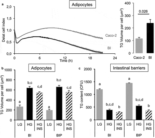 Figure 3. Influence of co-culture media in TG storage by 3T3L1-MBX adipocytes co-cultured with intestinal barriers. (a) Real-time analysis of adipocytes co-cultured with intestinal barriers Caco-2 or Caco-2/HT29-MTX (BI, left panel) and TG content after 24 h (right panel). TG content in (B) adipocytes and (C) intestinal barriers (BI) versus primed (BIP) 24 h after co-culture in either low (LG) or high (HG) glucose media with insulin (INS 0.01 mU/mL). Data are presented as mean values ± SEM (n = 8) with significant Student t-test p-values (p < 0.05) or Anova variances (letters).