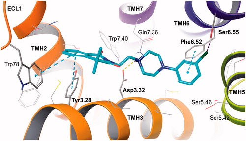 Figure 2. Prototype compound 4 in alpha 2B adrenergic receptor homology model based on beta 2 adrenergic receptor crystal structure (2RH1). Amino acid residues engaged in ligand binding (within 4 Å from the ligand atoms) are displayed as sticks, whereas those forming typical H-bonds (dotted yellow line), π-π stacking (dotted blue lines) or H-bonds to halogens (dotted purple line) are represented as thick sticks. The extracellular loop (ECL) 2 was hidden for clarity. TMH – transmembrane helix.