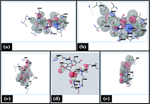 Figure 8. Showing autodock tool analysis of different types of interaction in different ligands. (A) Catechin; (B) Epicatechin; (C) Acarbose; (D) Proanthocyanidin; (E) Gallic acid with porcine α- amylase.