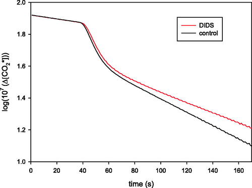 Figure 1. Time course of the decay of 18 O in CO2 vs. time for rat red cells in the presence and absence of DIDS. Y-axis is log (107·(Δ[CO2*])), where Δ[CO2*] is the concentration of 18 O-labelled CO2 minus its final value at isotope equilibrium, in the unit 10−7 M. The Y-axis gives the logarithm of this value after it has been multiplied by 107. The curve shows three phases: (1) a pre-phase representing the slow uncatalysed decay of 18O-labelled CO2, (2) by adding, at the sharp bend in the curve, red cells into the measuring chamber the next phase is initiated, which we call the rapid first phase after addition of red cells and which is strongly dependent on PCO2, (3) a second slower phase follows, which is dependent on PHCO3−. During the mass spectrometric measurement of red cells an extracellular pH of 7.4 and a CO2 partial pressure of 40 mmHg prevail.