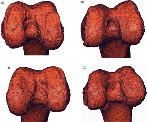 Figure 6. Four representative surfaces of test specimens. The four specimens are (a) #4, (b) #8, (c) #12 and (d) #13 From visual inspection, it is easy to see that the intercondylar fossa of specimen #8 (b) is sharper than those of the other three specimens. As expected, the corresponding 3D fitting error is lower than for the other three specimens.