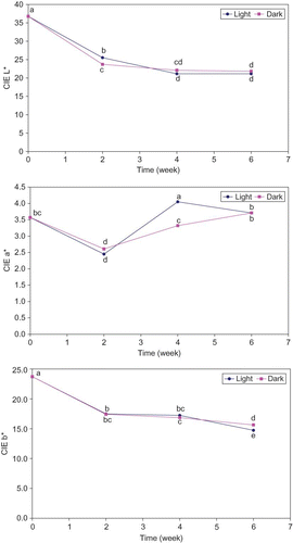 Figure 1 Changes of CIE L*, a*, and b* values (n = 12) in potato chips fried in mid-oleic sunflower oil and stored in the dark or under fluorescent light (16.1–18.3 lux) for 6 wk; points with no common letters are different (P < 0.05). (Color figure available online.)